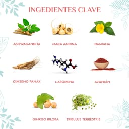 imagen2208.jpg