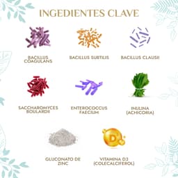 imagen2228.jpg