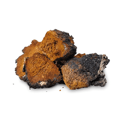 Chaga