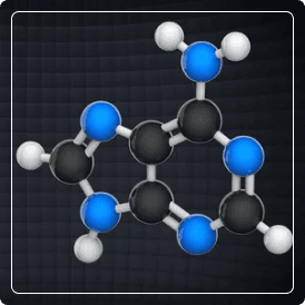 Clorhidrato de piridoxina (vitamina B6)