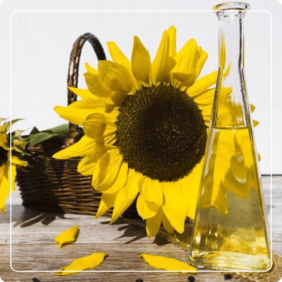 Aceite de Girasol