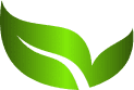 planta