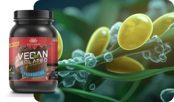 proteinADN