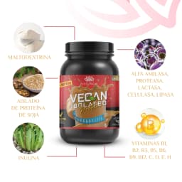 Vegan_protein.webp